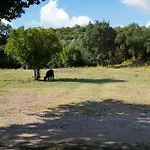 Beautiful Home In Vignale With Wifi Holiday home