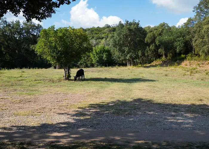 Lovely In With Wifi Prázdninový dům